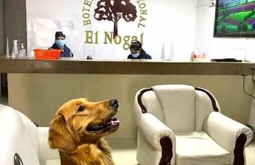 Ipiales Hotel | International El Nogal Ipiales