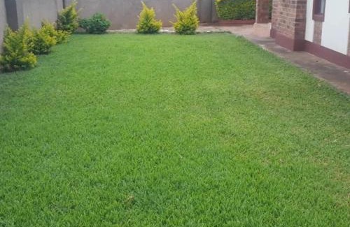 Bulawayo House | Inviting 2 Bed House in Bulawayo
