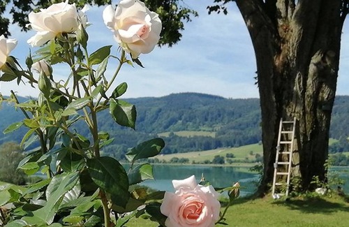 Oberhofen am Irrsee Apartment | Irrsee - Roiderhof am Irrsee