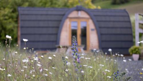 Blairgowrie Apartment | Isla Pod, Kilry eco pods