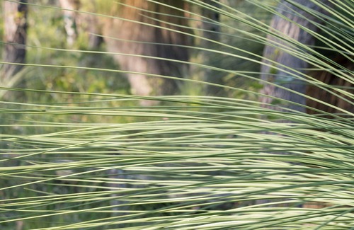 Yelverton Cabin | Island Brook Cabernet Chalet- Exclusive Escapes. Rural vineyard chalet in Margaret River