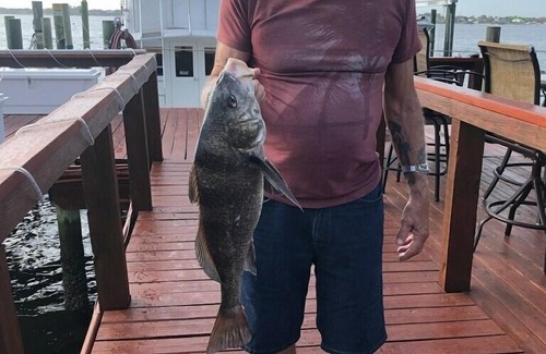 Palmetto House | Island Water view, Adorable Cherokee Trailer