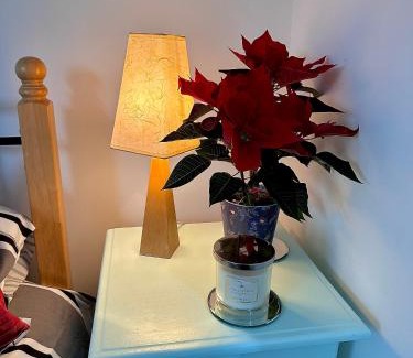 Coleraine Apartment | Islay View- Double Bed Apartment (NITB APPROVED)