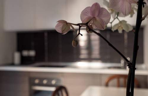 Zona Risorgimento Apartment | Italianway - Melzo 12 - Art Déco