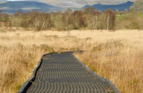 Llanddewi Brefi House | Ivy Bush Cottage