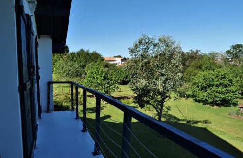 Kokotia House | Izpi Urdin Holistic surfhouse