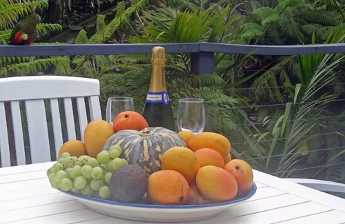 Stanwell Park House | Jacaranda House where beach meets rainforest