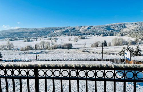 Lasowka House | Jagodowy Ski&Spa DeLux apartamenty z widokiem na góry,4km od Zieleniec Ski Arena Podgrzewany basen zewnętrzny latem,bilard,Wi-Fi w cenie Restauracja,balia,sauna na miejscu