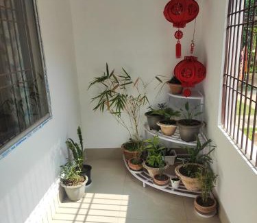 Jorhat House | Japanese Styled House- Greenwood Cabins Homestay