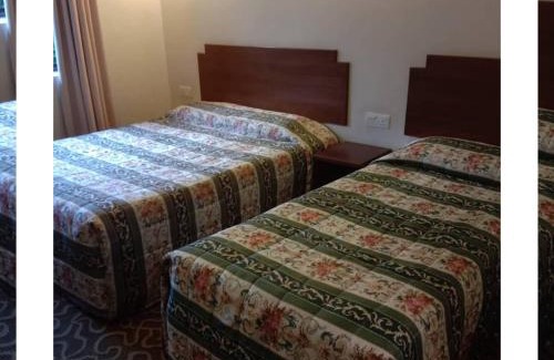 Brinchang Hotel | Jasmine Hotel