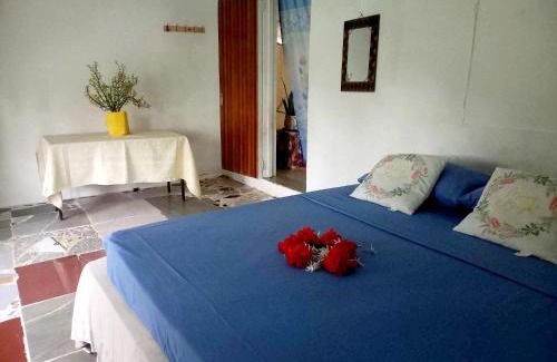 Taveuni Island East House | JayDees Home Retreats Homestay
