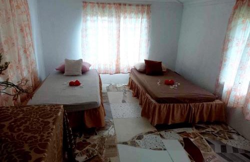 Taveuni Island East Apartment | JayDees Homestay