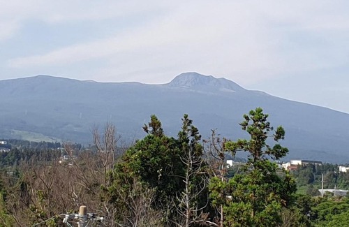 Jungmun Hotel | Jeju Soroan Pension