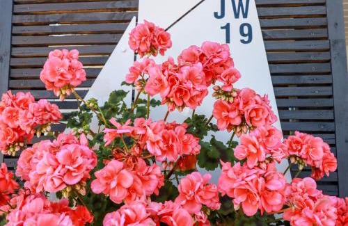 Tywardreath House | Jenny Wren
