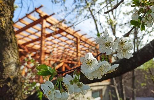 Dilijan House | Jermatun Guest House