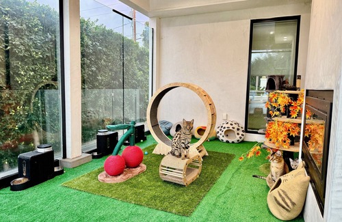 Mount Wilson House | Jie's Choice - Enchanted Garden Hideout