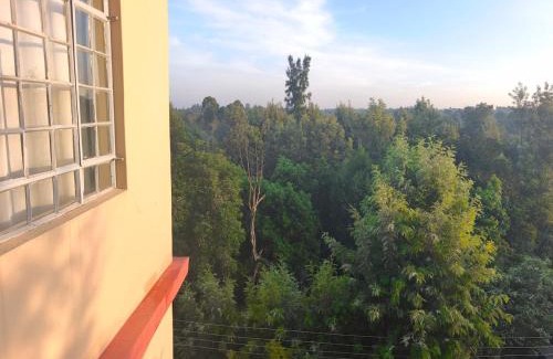 Nanyuki Apartment | Jingles