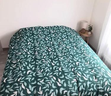Saint-Jean-le-Blanc Apartment | Joli appartement Proche Orléans