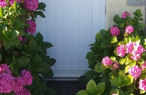Charce-Saint-Ellier-sur-Aubance House | Joli Gîte Cosy, Jardin et Piscine Proche D'angers