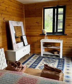 Tuzdybastau House | Jolly Roger's house