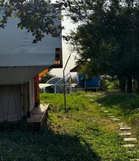 Tuzdybastau House | Jolly Roger's house