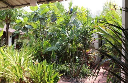 Kampot House | Jonny Ocean Farm boutique
