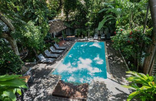 Daun Penh Hotel | Jungle Addition
