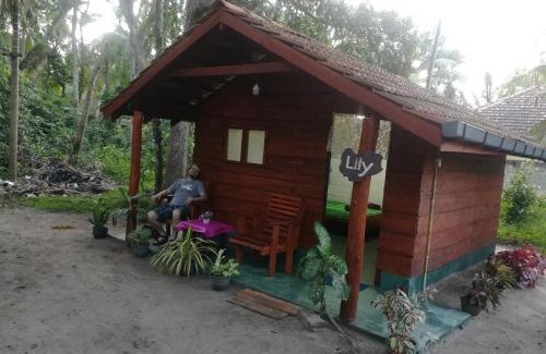 Boossa Other | Jungle Paradise