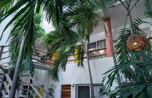 Luis Donaldo Colosio Apartment | Jungle Room on 5th, one block to the beach