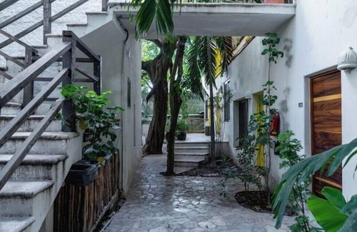 Luis Donaldo Colosio Apartment | Jungle Room on 5th, one block to the beach