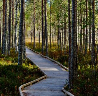 Tervola Hotel | Kätkä Lake Lodge
