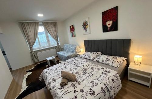 Olomouc Apartment | Kaštanová 27