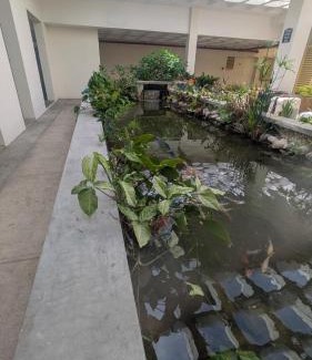 Portmore Apartment | Kacey's Oceanview Condo