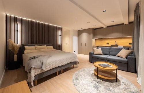Cesis Apartment | Kalnu dzīvoklis (The hill condo)