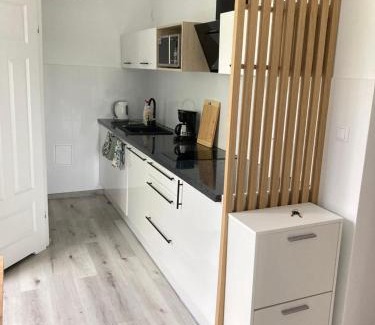 Nowe Miasto Apartment | Kamienica nad Maltą- Mieszkania nad Jeziorem Maltańskim