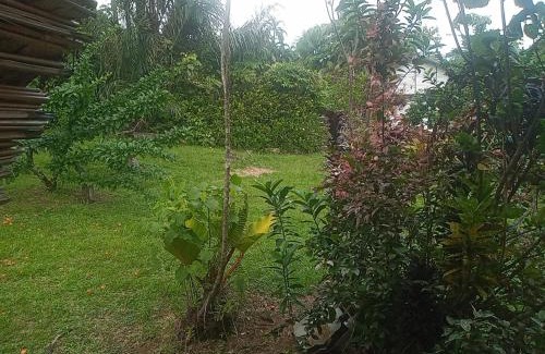 Boven Saramacca Other | Kamp Makandy