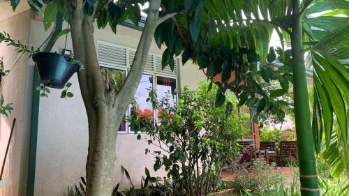 Digana Villa | Kandy Vayo Villa