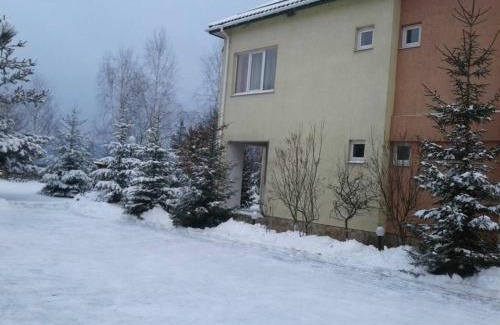 Nizhneye Sinevidnoye Hotel | Karpaty Viking