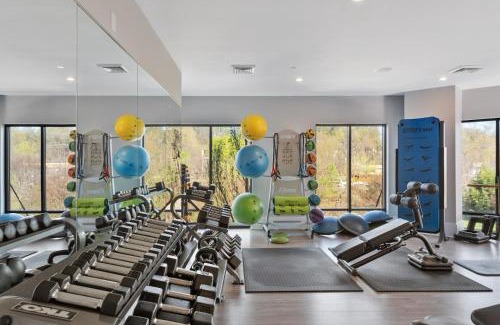 Charlotte Apartment | Kasa Dilworth Charlotte