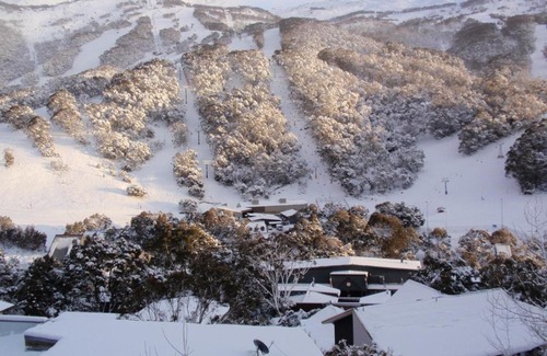 Thredbo Cabin | Kasees Apartments & Mountain Lodge