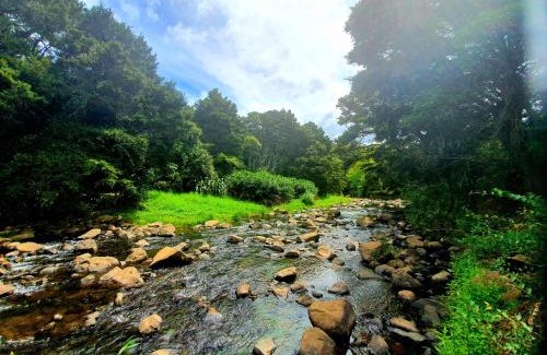 Kaihu Resort | Kauri Coast TOP 10 Holiday Park