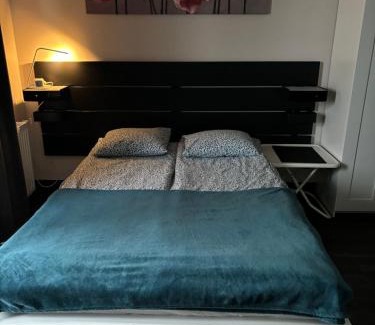 Torun Apartment | Kawalerka na Targowej
