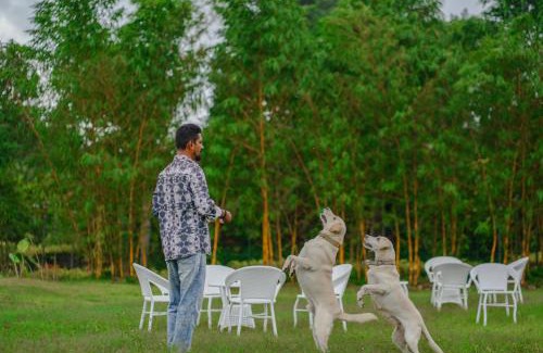 Sulthan Bathery Hotel | Kedara Pool Resort by VOYE HOMES, Wayanad Pet Friendly Resort with Tree House in Sulthan Bathery