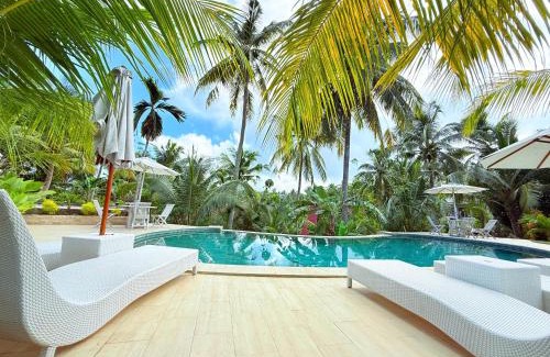 Penida Island Hotel | Kelingking Tropical