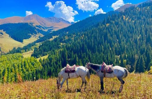 Chuy Province House | Kemin Guest House