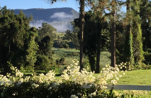 Kenilworth House | Kenilworth River Oaks on Mary River - Pet friendly