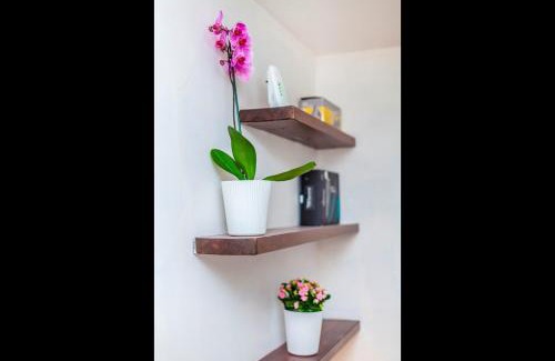 Holland Park Apartment | Kensington (Holland Park) Apartment