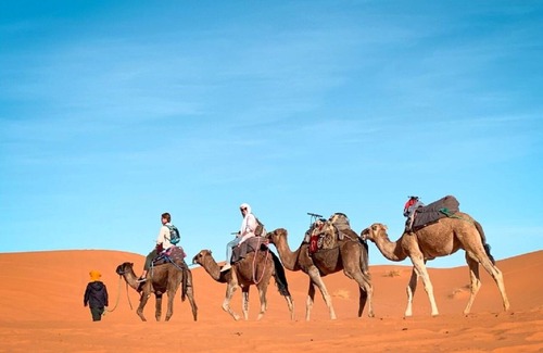 Taouz Bed & Breakfast | Khamlia Desert Luxury Camp