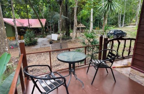 Phanom Hotel | Khaosok Creek and Jungle Resort