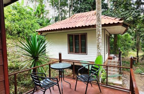 Phanom Hotel | Khaosok Creek and Jungle Resort